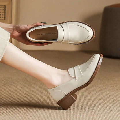 https://cdn.shopify.com/s/files/1/0909/1973/1504/files/S44fce3d258ec41c29f3590e2fb6b80a1E.webp?v=1739878847