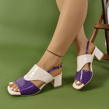 https://cdn.shopify.com/s/files/1/0909/1973/1504/files/S5d7c2d954f8c43b1bdeb4b881a3ee271O.webp?v=1743406575